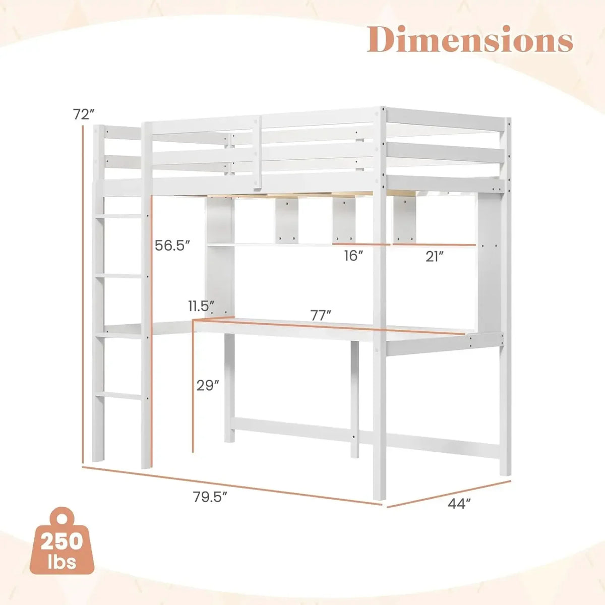 Simple Design Twin Loft Bed with Built-in Desk and Stairs