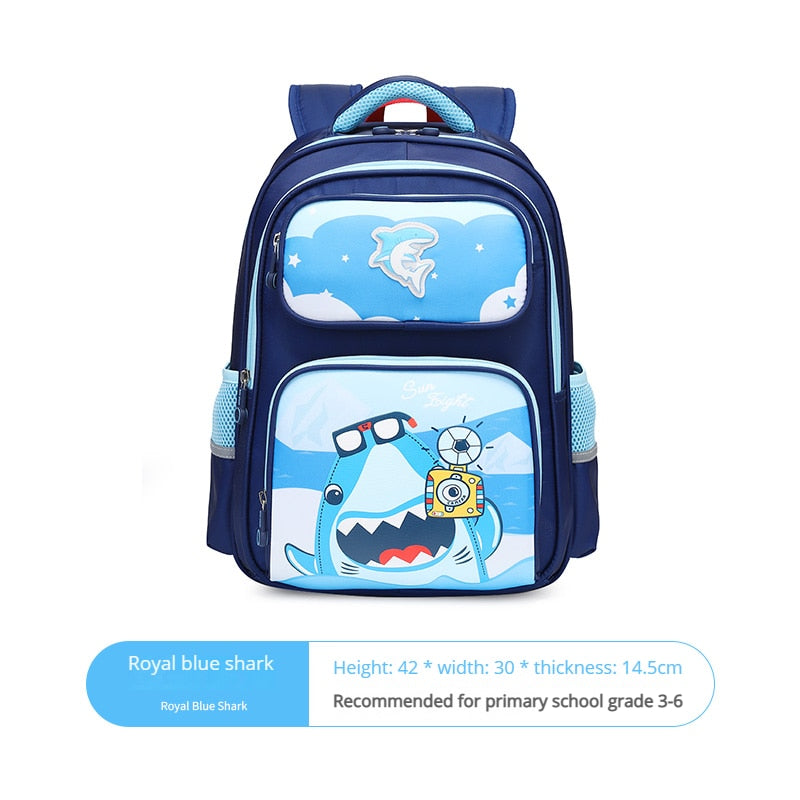Waterproof Large Capacity Kids School Backpack With Pencil Case childrensterritory