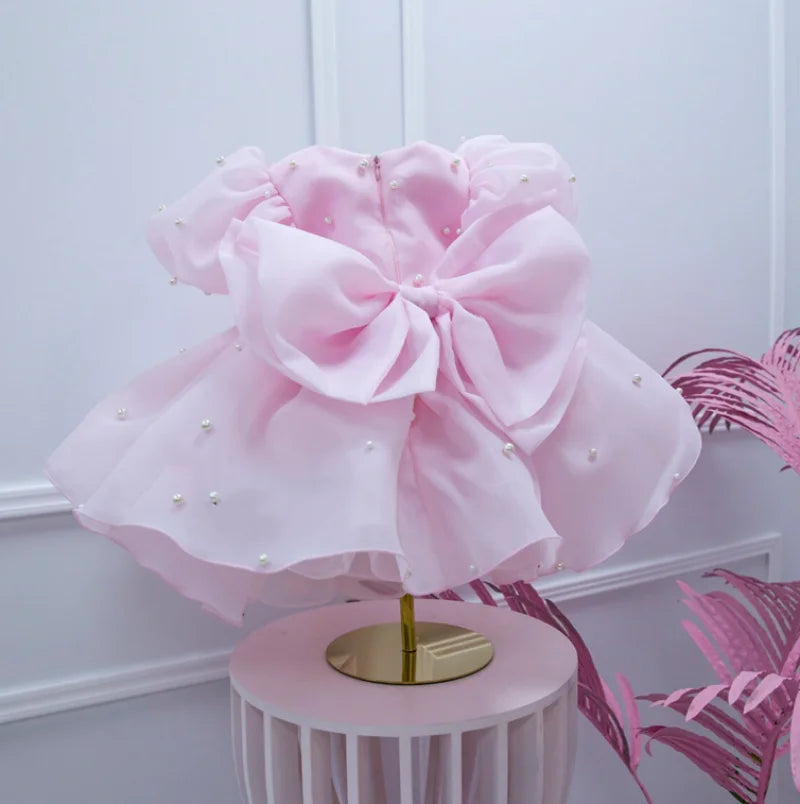 Pearls Design Tutu Flower Girl Dress for Special Occasions childrensterritory
