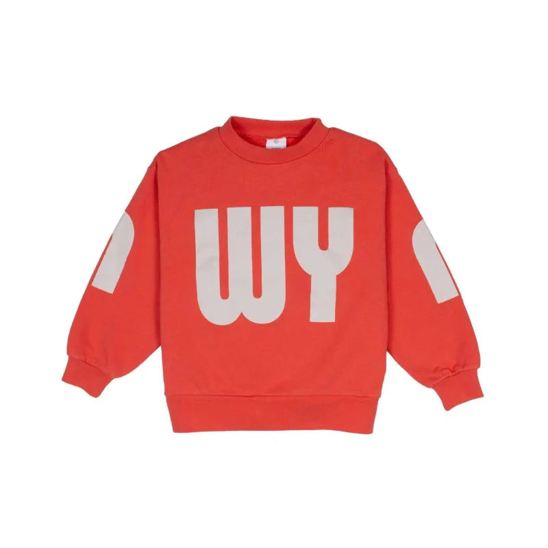 Kids Designer Warm Sweaters and Pants Clothing Sets childrensterritory