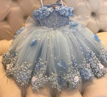 Baby/Kids Girl Lace Pearls 3D Butterflies Pageant Gown childrensterritory