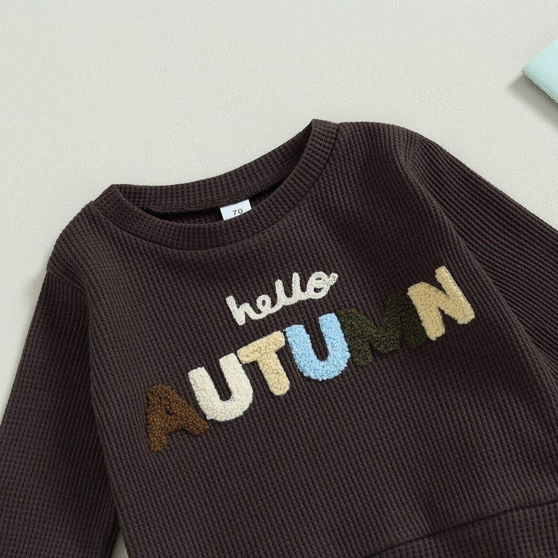 Baby Boy Letter Embroidery Full Sleeve Fall Tracksuit childrensterritory