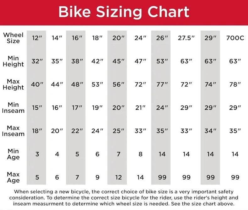 20" Kids Mountain Bike with Dual Suspension Aftershock childrensterritory
