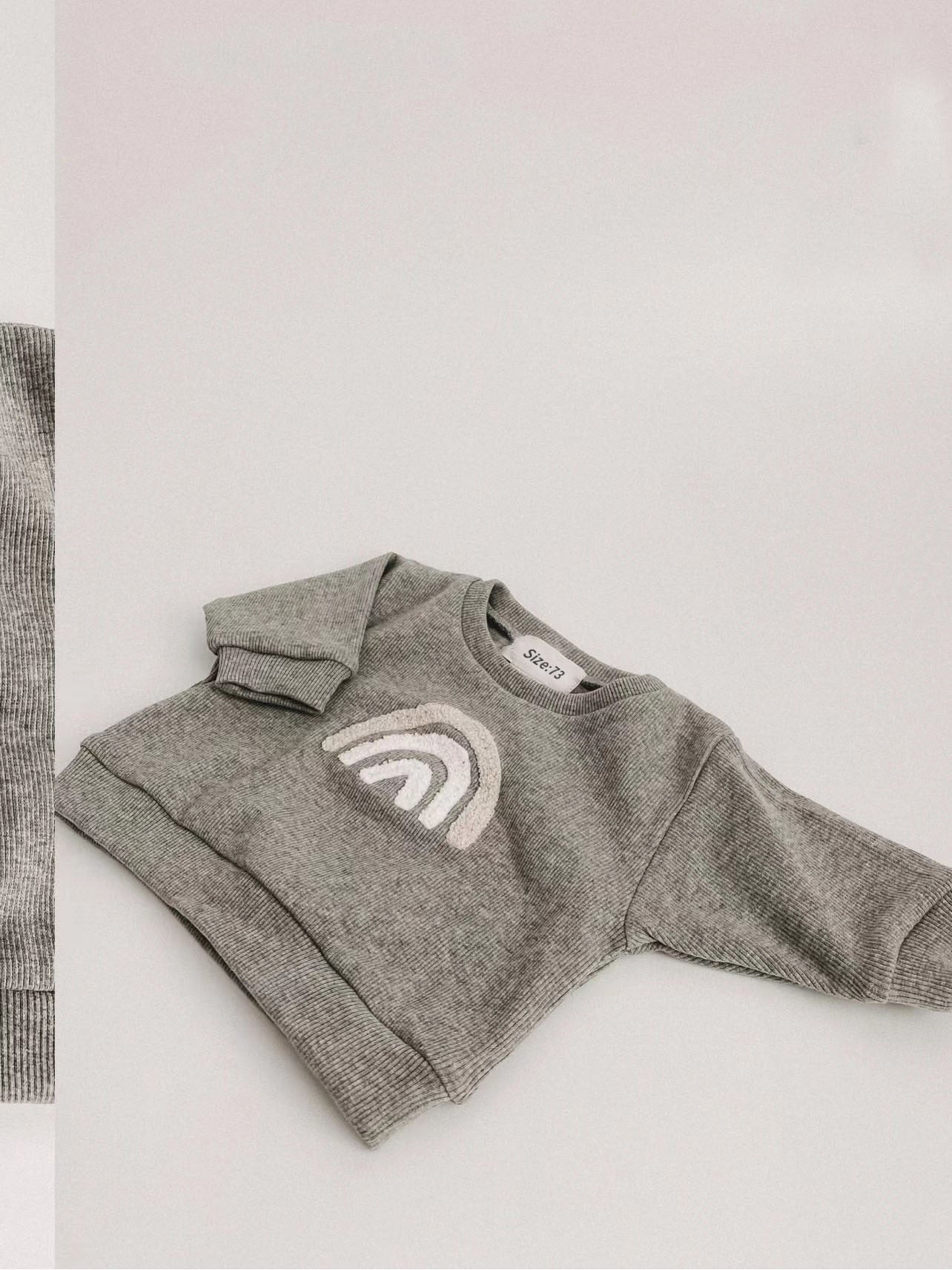 Baby Boy/Girl Sweatshirts + Pants 2pcs Suit childrensterritory