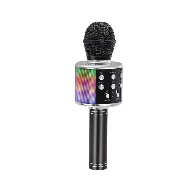 Handheld Karaoke Microphone for Kids/Adults childrensterritory