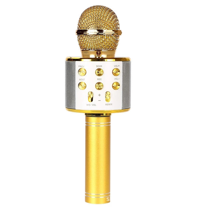 Handheld Karaoke Microphone for Kids/Adults childrensterritory