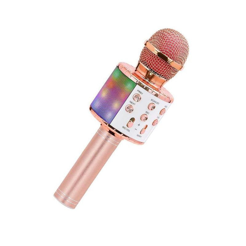 Handheld Karaoke Microphone for Kids/Adults childrensterritory