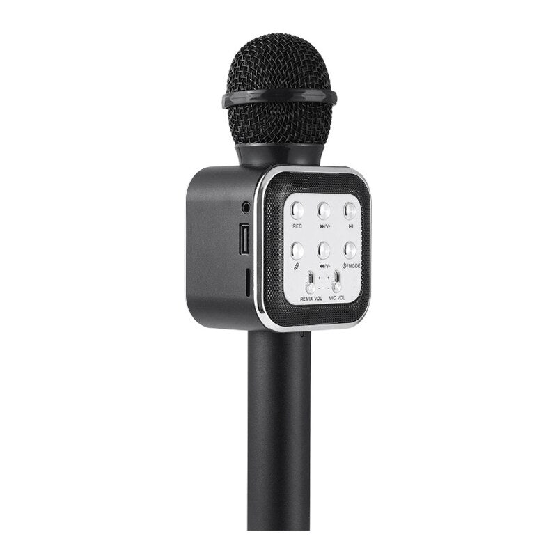 Kids Wireless Handheld Karaoke Microphone childrensterritory