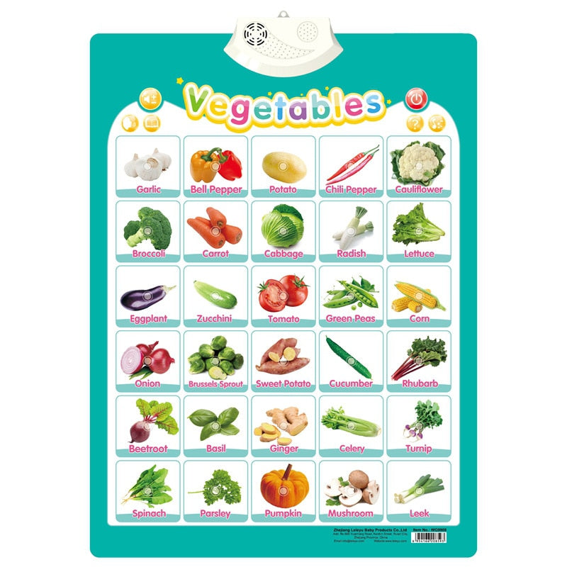 Electronic Early Educational Wall Chart for Kids childrensterritory