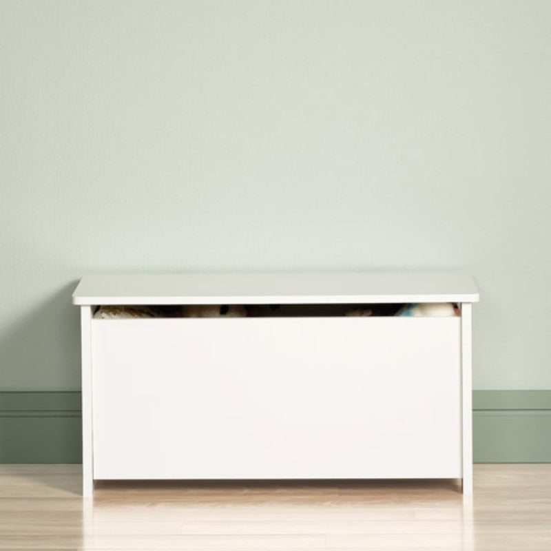 Top Wooden Toy Storage Chest with Hinged Safety childrensterritory