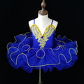 Elegant Professional Ballet Tutu Leotards For Girls childrensterritory