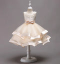 Elegant Baby/Kids Girls Lace Design Flower Dresses childrensterritory