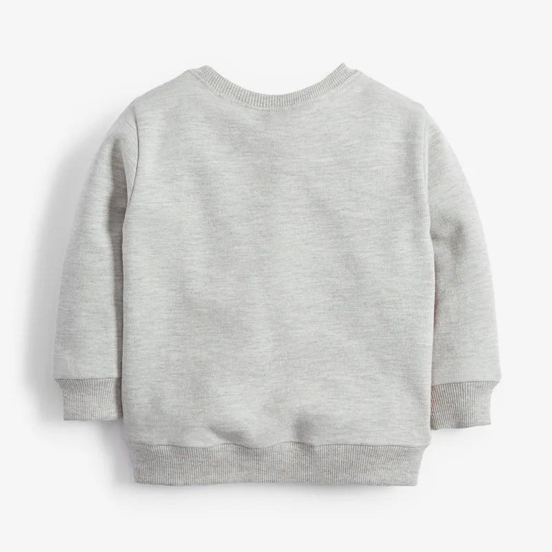 Little Boys Cotton Various Pattern Sweatshirts childrensterritory