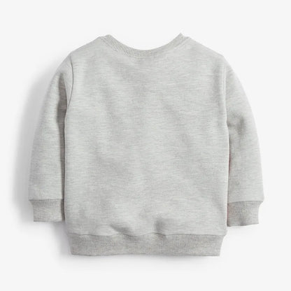 Little Boys Cotton Various Pattern Sweatshirts childrensterritory