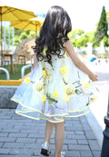 Little Girls Floral Bohemian Style Chiffon Summer Dresses childrensterritory