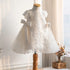 Kids Girl Lace Embroidery and Bow Design Formal Dress childrensterritory