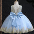 Kids Girls Big Bow and Lace Design Tutu Princess Dresses childrensterritory
