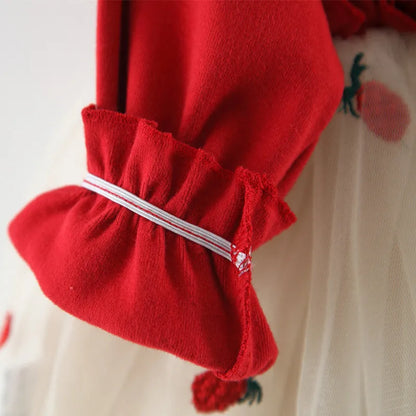 Baby Girl First Birthday Red Princess Dress childrensterritory
