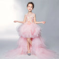 Baby/Kids Girls Pink Tulle Trailing Princess Gown