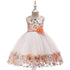 Kids Girl Flower Embroidery Summer Birthday Party Dresses childrensterritory