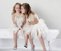 Kids' Girls Feather Tassels Design Princess Ball Gown Dresses childrensterritory