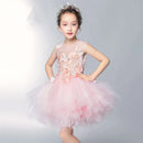 Baby/Kids Girls Pink Tulle Trailing Princess Gown