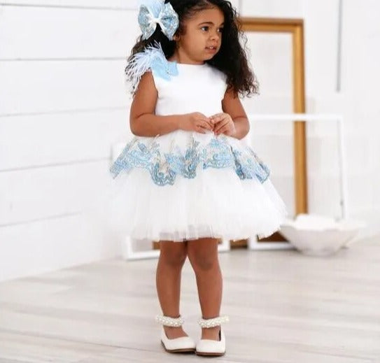 Baby/Kids Girl Lace Flower Dress for Birthday Party childrensterritory