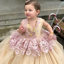 Lace Appliques V-Neck Puffy Tutu Princess Party Dress for Little Girls childrensterritory