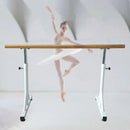 Portable Dance Bar With A Length of One Meter childrensterritory