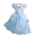 Kids Girls Disney Princess Dresses for Halloween Christmas childrensterritory