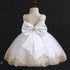 Kids Girls Big Bow and Lace Design Tutu Princess Dresses childrensterritory