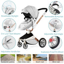 3-in-1 High Landscape Luxury Baby Stroller childrensterritory