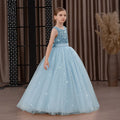 Kids Girls Puffy Sequin Embroidery Princess Party Dresses