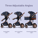 3 in 1 Portable High Landscape Luxury Baby Stroller