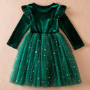 Kids Girl Star Sequin Mesh Winter Party Dresses childrensterritory