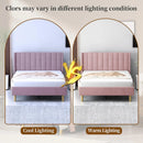 Designer Kids Bed Frame for Modern Living Spaces childrensterritory