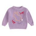 Infant Unisex Crewneck Bunny Applique Soft Knitwear childrensterritory