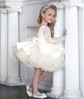 Little Girls Vintage Tulle Long Sleeve Princess Party Dresses childrensterritory