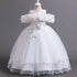 Flower Lace Design Short Sleeve Dress For Girls childrensterritory