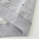 Dinosaurs Print Little Boys Zip-Up Cotton Hoodies childrensterritory