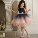 Elegant Puffy Tulle Kids Girls Wedding/Party Wear Dresses childrensterritory