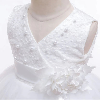 Baby Girl Elegant Lace Design Christmas/Birthday Party Dresses
