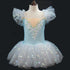 Kids Girls Sequined Ballet Leotard Tutu Dresses childrensterritory