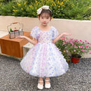 Kids Girl Elegant Butterfly Design Colorful  Birthday Party Dress