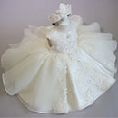 Little Girl Lace Embroidery Puffy Princess Party Dresses