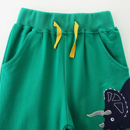 Dinosaurs Cartoon Embroidery Design Cotton Trousers For Boys childrensterritory