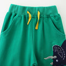 Dinosaurs Cartoon Embroidery Design Cotton Trousers For Boys childrensterritory
