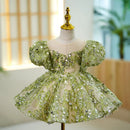 Kids Girls Luxury Fluffy Formal Lace Design Ball Gowns childrensterritory