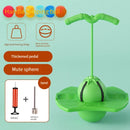 Frog Design High Jump Bouncing Ball Equipment for Kids childrensterritory