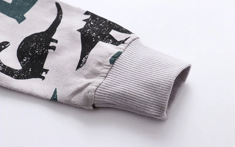 Little Boys Cartoon Dinosaurs Print Sweatshirts